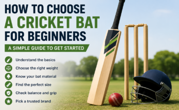 How to Choose a Cricket Bat for Beginners