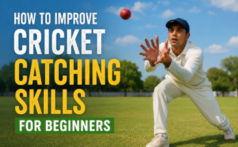 How to Improve Cricket Catching Skills for Beginners