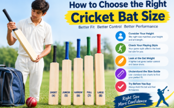 How to Choose the Right Cricket Bat Size